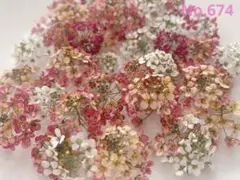 ドライフラワー　アリッサム　小花詰め合わせ　No.674