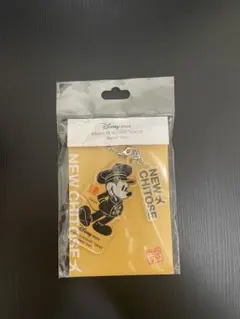 Disney Store 新千歳空港限定 アクリルキーホルダーのサムネイル