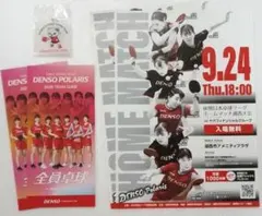 非売品【5点セット】デンソーポラリス「キーホルダー×1」と「資料2種×2」卓球