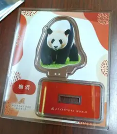 2025年最新】アドベンチャーワールドの人気アイテム - メルカリ