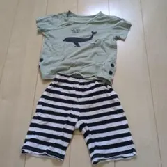 クジラプリント　Tシャツ　ストライプパンツセット　夏パジャマ　100 ベルメゾン