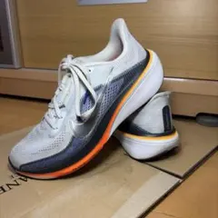 NIKE ペガサス42 26センチ