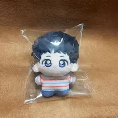 BTS ジン　10cm ぬいぐるみ　新品　マスター