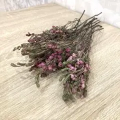 Item thumbnail for item ea32b23c-bbf1-447c-b2ed-669f78f7fdc7