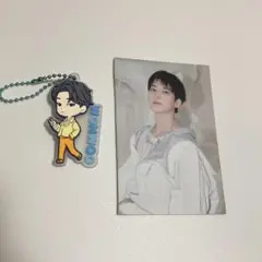 seventeen petiteen ウォヌ　まとめ売り　セブチ　トレカ　セット