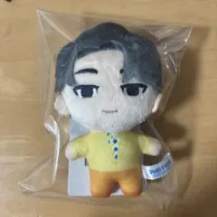 SEVENTEEN PetiTEEN ウォヌ ぬいぐるみ