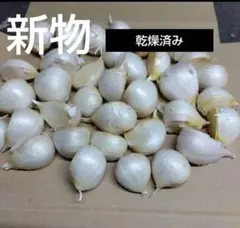 新物　青森県産にんにく　大粒　５００gのサムネイル