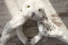 【1度のみ使用】ヘドウィグカチューシャ