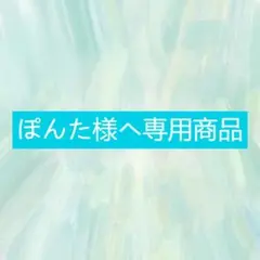 ぽんた様ヘ専用商品