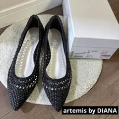新品　DIANA　ダイアナ　メッシュ ポインテッドトゥフラットシューズ　23.5のサムネイル