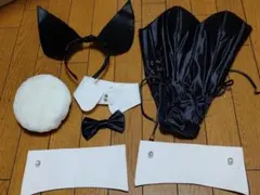 バニーガール 向上委員会　　バニーガール　Мのサムネイル