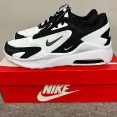 ナイキ エアマックス ランニングシューズ 29 NIKE 新品