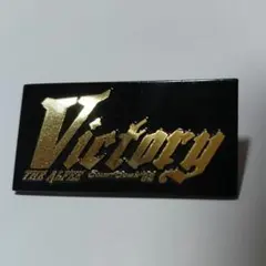 THE ALFEE Victory ピンバッジ