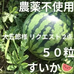 大五郎様 リクエスト 2点 まとめ商品