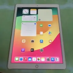 2579 美品☆電池最良好☆iPadPro2第2世代256GB 12.9インチ☆