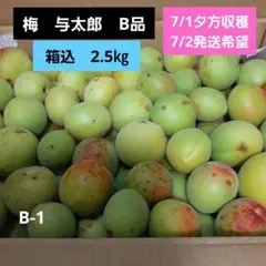 梅　与太郎　B品 キズ ソバカス　箱込2.5㎏　7/1夕方収穫　7/2発送希望のサムネイル