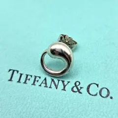 美品 ティファニー エターナルサークル カフリンクス カフスボタン