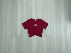 バースデイ ラブボート