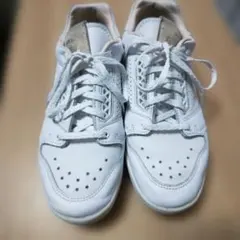 Item thumbnail for item faa90ffc-93c8-4628-bddd-60e4bb8761a4