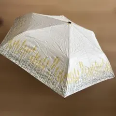 Item thumbnail for item de2dca55-ba80-4810-8ddc-8db660fa139e