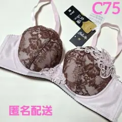 2026年最新】ワコールサルートc75の人気アイテム - メルカリ