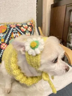 Item thumbnail for item 49b16943-edb5-4919-a591-cfd19d4feabe