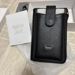 Item thumbnail for item 601eb036-f07d-4ada-a37b-c94e809c8b4e