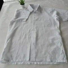 Daimaru 半袖シャツ ホワイト