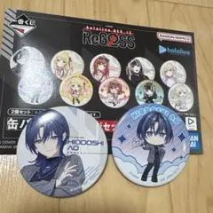 ReG2SS HIDODOSHI 缶バッジ2個セット