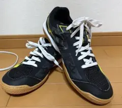 Mizuno WAVE KAISERBURG 5 27.5cm