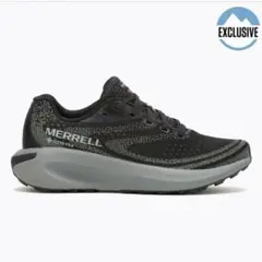 Item thumbnail for item c9d8e716-726d-4022-b696-9ecf8a02b64d