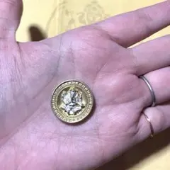 プラピカネ　コイン　巨万の富と幸運の神様　金招き　お宝ビッグコイン プラピカネ コイン 巨万の富と幸運の神様 金招き お宝ビッグ