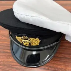 航空自衛隊メダル 力士 ミリタリー 記念 - メルカリ