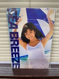 SEA BREEZE 美少女 ブリキ看板 レトロ アンティーク 壁掛け