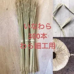 Item thumbnail for item cd56700d-a90c-43f2-bd2b-ad7f5134294f