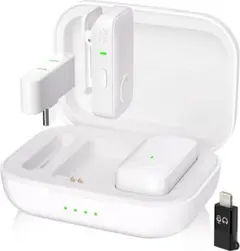 Item thumbnail for item 8599b2f7-e09e-45f3-ad42-8721caa5f443