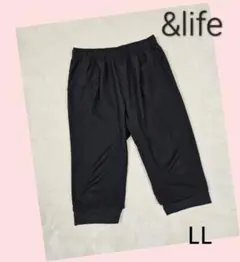 Item thumbnail for item 59d703de-7a4a-41a7-8ba9-ecb4c29df996