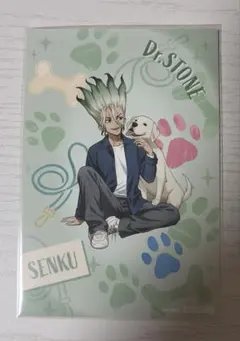 Dr.STONE with Dogs 特典ポストカード 千空
