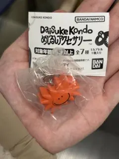 Daisuke Kondo めじるしアクセサリー taiyo☀️