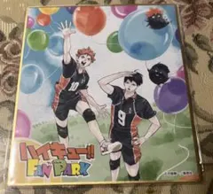 ハイキュー!! FAN PARK ミニ色紙 日向翔陽 影山飛雄