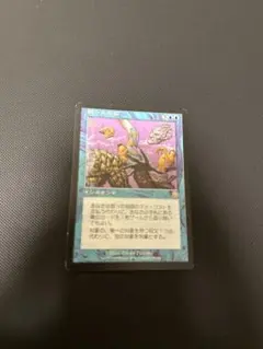 MTG 誤った指図 英語 - メルカリ