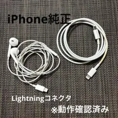 Apple 純正 Lightning イヤホン 充電ケーブル セット 動作確認済