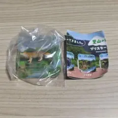 ネイチャーテクニカラー　里山のいきものブリスターコレクション　キツネ
