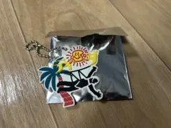 【新品・未使用】ジャングリア沖縄　キーホルダー