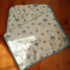 Item thumbnail for item 4f92be06-5fd3-4bbe-8fa2-792b7c2d0e53