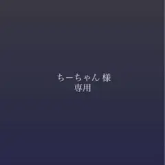 ちーちゃんさま 専用