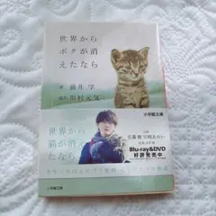 2026年最新】世界からボクが消えたなら 映画 世界から猫が消えたならの