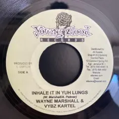 レゲエ W. Marshall Vybz Kartel Stepfather