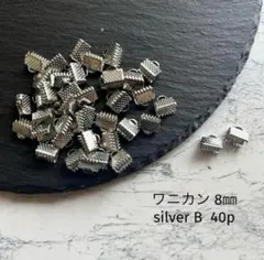 ワニカン　8㎜　silver B