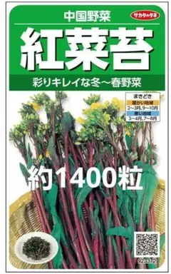 未開封＜野菜の種＞約1400粒　紅菜苔　中国野菜　こうさいたいのサムネイル